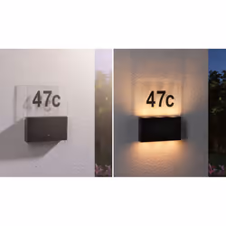 Paulmann Neda Anthracite Adapté à une utilisation extérieure 1 W