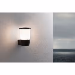 Paulmann Bako Éclairage mural extérieur Ampoule(s) non remplaçable(s) LED - Vue supplémentaire 4