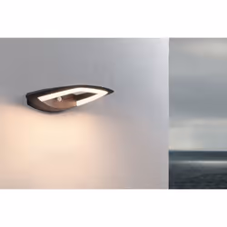 Paulmann Akena Motion detector Anthracite Adapté à une utilisation extérieure 11 W