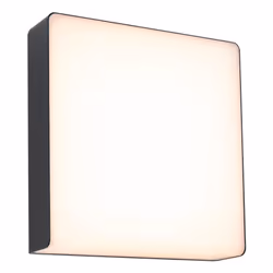 Paulmann 94840, Éclairage mural extérieur, Anthracite, Métal, Acier inoxydable, IP44, Façade, I