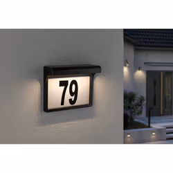 Paulmann Dayton II Éclairage mural extérieur Ampoule(s) non remplaçable(s) LED Noir
