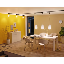 Paulmann 95524 accessoire d'éclairage Contrôleur d'éclairage
