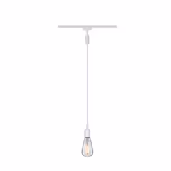 Paulmann 95552 accessoire d'éclairage