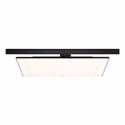 Paulmann 96582, Spot lumineux sur rail, Ampoule(s) non remplaçable(s), LED, 80 W, 3000 K, Noir