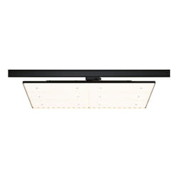 Paulmann 96582 spot d'éclairage Spot lumineux sur rail Ampoule(s) non remplaçable(s) LED 80 W F