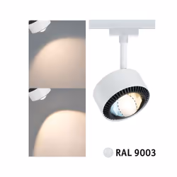 Paulmann Aldan Spot lumineux sur rail LED 8 W F