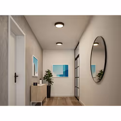 Paulmann Malik Spot d'éclairage de surface LED F