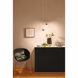Paulmann Capsule II éclairage en suspension Support flexible LED Noir, Argent