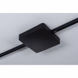 Paulmann 96819 accessoire d'éclairage Alimentation d'éclairage