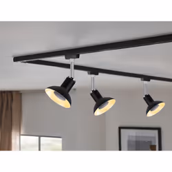 Paulmann Pure II Spot lumineux sur rail Noir GU10
