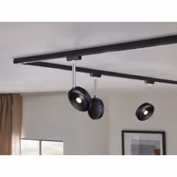 Paulmann Discus Spot lumineux sur rail Noir, Chrome LED