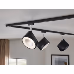 Paulmann Arena Spot lumineux sur rail Noir, Chrome LED