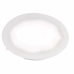 Paulmann 987.56 Spot lumineux encastrable Blanc LED 1 W