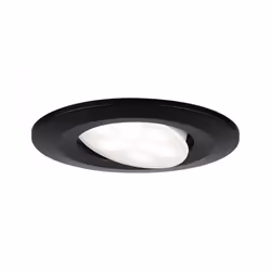 Paulmann 99991, 2 ampoule(s), LED, 4000 K, 530 lm, IP65, Noir
