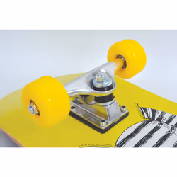 Schildkröt Funsports Kicker 31 Skateboard (classique) Erable Multicolore