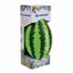Jeu deau et de plage - Schildkröt Funsport - Ballon Splash Pastèque - 25 x 13 cm - Vert - Mixte