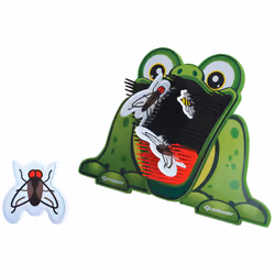 Schildkröt Funsports 970309, 4 an(s)