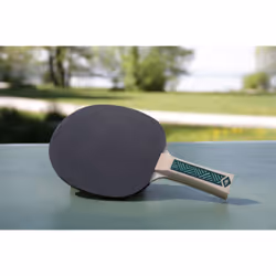 Donic Schildkröt 788498 table de tennis de table Noir, Vert