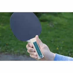 Donic Schildkröt 788498 table de tennis de table Noir, Vert