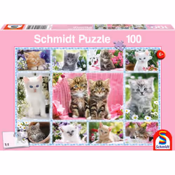 Schmidt Spiele 56135, 100 pièce(s), Faune, 6 an(s)