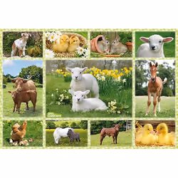 Schmidt Spiele Bébés Animaux À La Ferme, 60 pièce(s), 6 an(s)