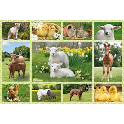 Schmidt Spiele Bébés Animaux À La Ferme