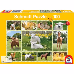 Schmidt Spiele Bébés Animaux À La Ferme