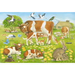 Schmidt Spiele 56222 puzzle Jeu de puzzle 48 pièce(s) Faune