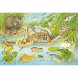 Schmidt Spiele 56222 puzzle Jeu de puzzle 48 pièce(s) Faune