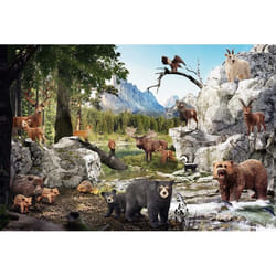 Schmidt Spiele 56239 puzzle 42 pièce(s)