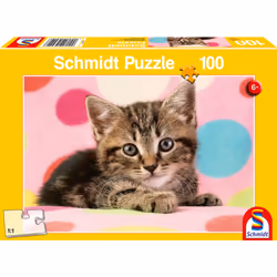Schmidt Spiele 56249 puzzle 100 pièce(s)