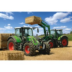 Schmidt Spiele 56256 puzzle 100 pièce(s)