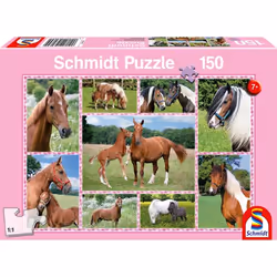 Schmidt Spiele 4056269, Animaux, 7 an(s)