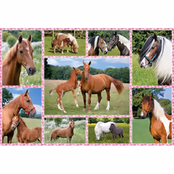 Schmidt Spiele 4056269 Jeu de puzzle Animaux