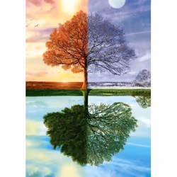 Schmidt Spiele The seasons tree Jeu de puzzle 500 pièce(s) Paysage