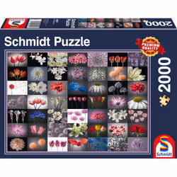 Schmidt Spiele 58297, 2000 pièce(s), Art