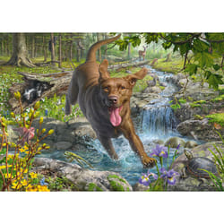 Schmidt Spiele Labrador retriever en promenade au printemps, 1000 pcs