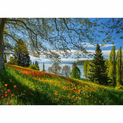 Schmidt Spiele 58967 puzzle Contour pour puzzle 1000 pièce(s) Flora