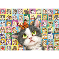 Schmidt Spiele Mimique de chat, 1000 pcs