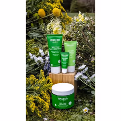 Weleda Skin Food 30 ml Crème Femmes - Vue supplémentaire 4