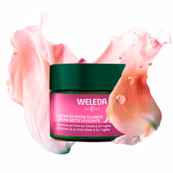 Crème de nuit lissante à l'églantier et au thé blanc - Vue supplémentaire 3