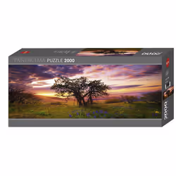 Heye Puzzle 29472, 2000 pièce(s), Art