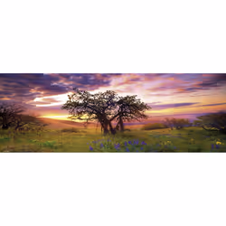 Heye Puzzle 29472 puzzle Contour pour puzzle 2000 pièce(s) Art