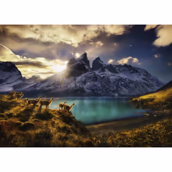 Heye Puzzle Guanacos Jeu de puzzle 1000 pièce(s) Paysage