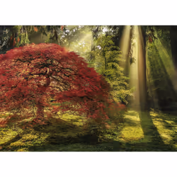 Heye Puzzle Guiding Light Jeu de puzzle 1000 pièce(s) Paysage