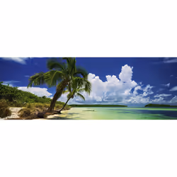 Heye Puzzle Paradise Palms Contour pour puzzle 2000 pièce(s) Paysage