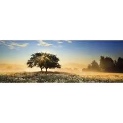 Heye Puzzle Play of Light Jeu de puzzle 1000 pièce(s) Paysage