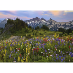 Heye Puzzle Tatoosh Mountains Jeu de puzzle 2000 pièce(s) Paysage