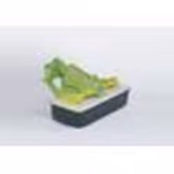 BRUDER Faucheuse Claas, Claas, 3 an(s), Plastique, Multicolore