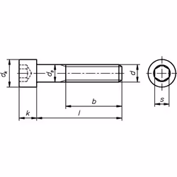 Dresselhaus WGR 0300 20 mm 100 pièce(s) M6 Kit de vissage